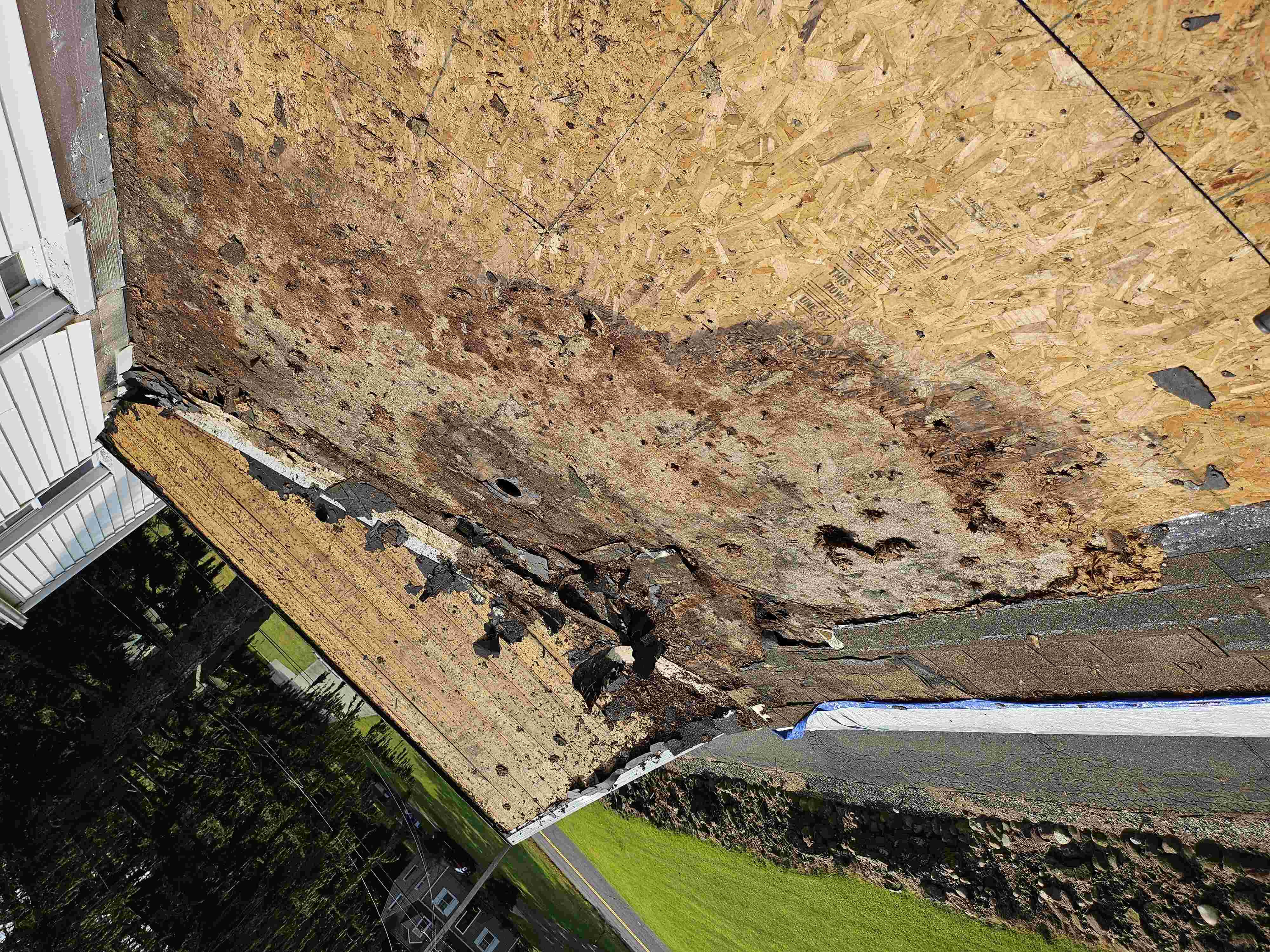 workers ripping roof