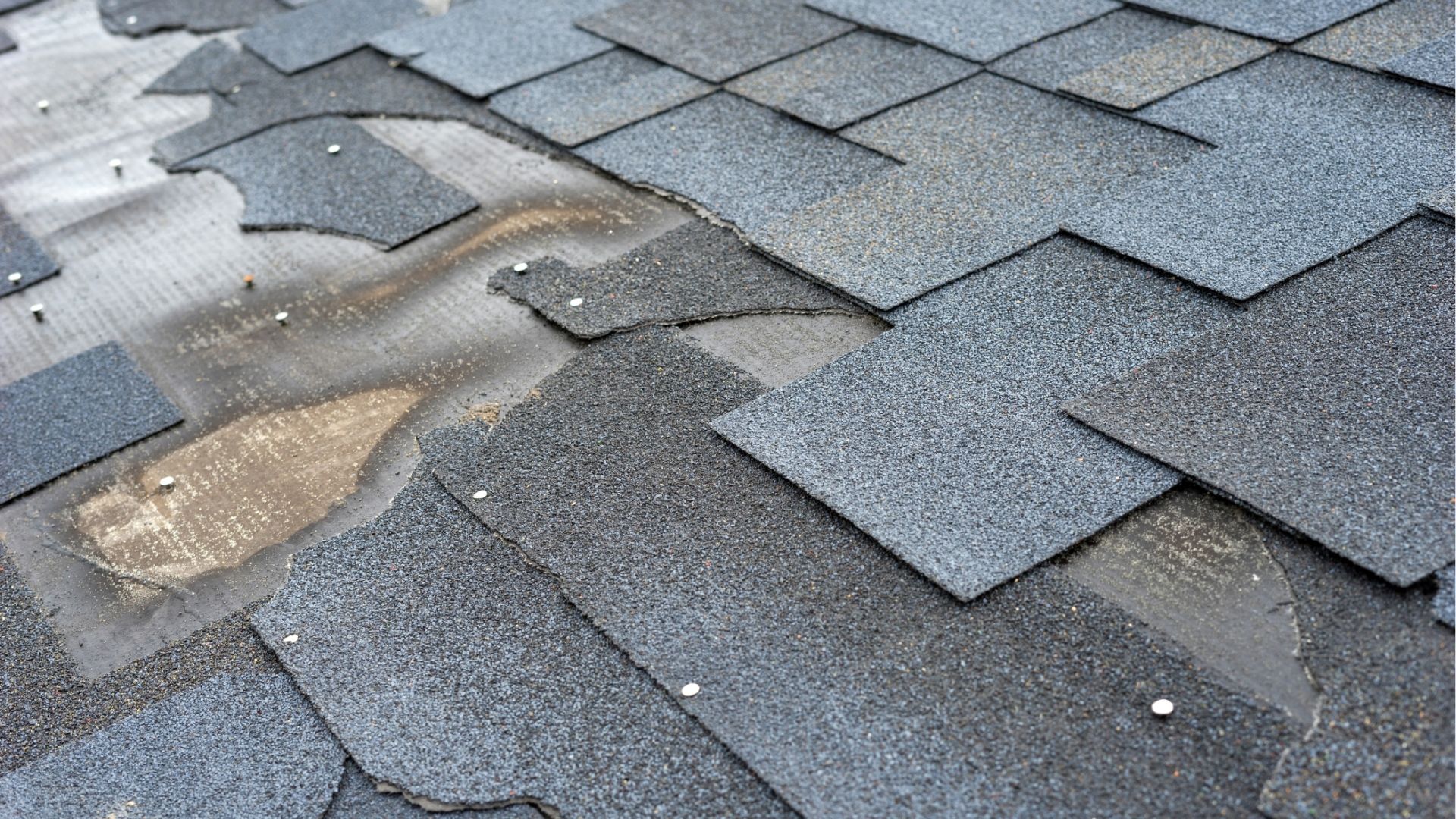 missing shingles from roof